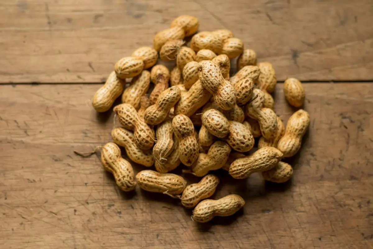 bunch of brown peanuts